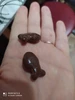 Изображение товара 3