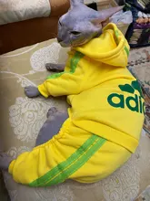 Cute Cat Sweater Hoodie Winter Warm Pet Clothes for Cats Sphinx Katten Clothing Outfit