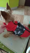 Ropa de invierno para mascotas, atuendo con chaleco cálido para perros pequeños, abrigo para perro, Chihuahua acolchado, a prueba de viento, 20