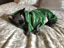 Monos de lana para perros, ropa de invierno para mascotas, ropa de Navidad para perro, gato suave, ropa de Cosplay para Chihuahua, ropa de Yorkshire