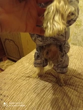 Ropa de abrigo para Perros Bulldog Francés, Ropa de cachorro, Chihuahua, yorkie, abrigo de perrito mascota, chaqueta, perros, mascotas