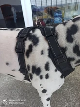 Arnés reflectante para perros pequeños y medianos, chaleco transpirable sin tirones para cachorros, entrenamiento para caminar, Bulldog francés