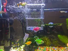 Boxes Hatching-Incubator Tanks Betta Isolation Acrylic Aquarium Fish-Tank-At001 Fish-Breeding