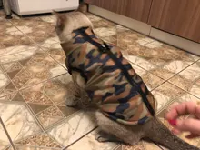 Puppy Outfit Vest Coat Dog-Jacket Pets Padded-Chihuahua Apparel-20 Small-Dogs Warm Winter