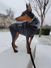 Pet-Dog-Clothes Clothing Walking-Harness Dogs Outdoor Waterproof Large Winter Medium