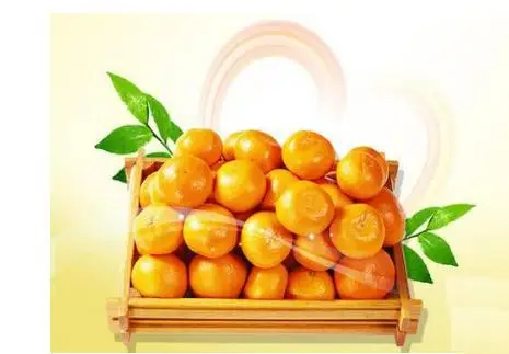 冬季进行食用橘子需要注意到的四种禁忌问题-养生法典