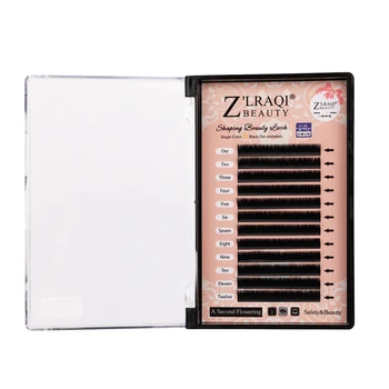 

Small MOQ eyelash extension private label professional flat ellipse eyelash extensions