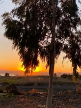 Blanket Cockatiel Bird Small Corner-Parrot Parakeet Nest Pet Warm for Shawl Cage-Decoration