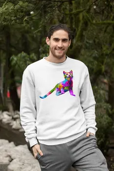 

Angemiel Wear Bouncing Colorful Cat Male Sweatshirt