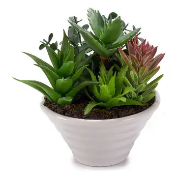 

Plant pot Ibergarden Plastic (12 x 14 x 12 cm)