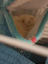 Hammock Hamster Squirrel-Sleeping-Bag Ferret Guinea-Pig Rabbit Double-Mezzanine Nests