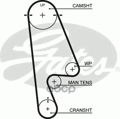 Ремень Грм Honda Accord F18a/F20a/F22b 93- Gates арт. 5480XS