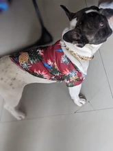 Camisetas de verano para perros, ropa de playa, chaleco para mascotas, camiseta Floral, Hawaiana para gatos pequeños y grandes, Chihuahua