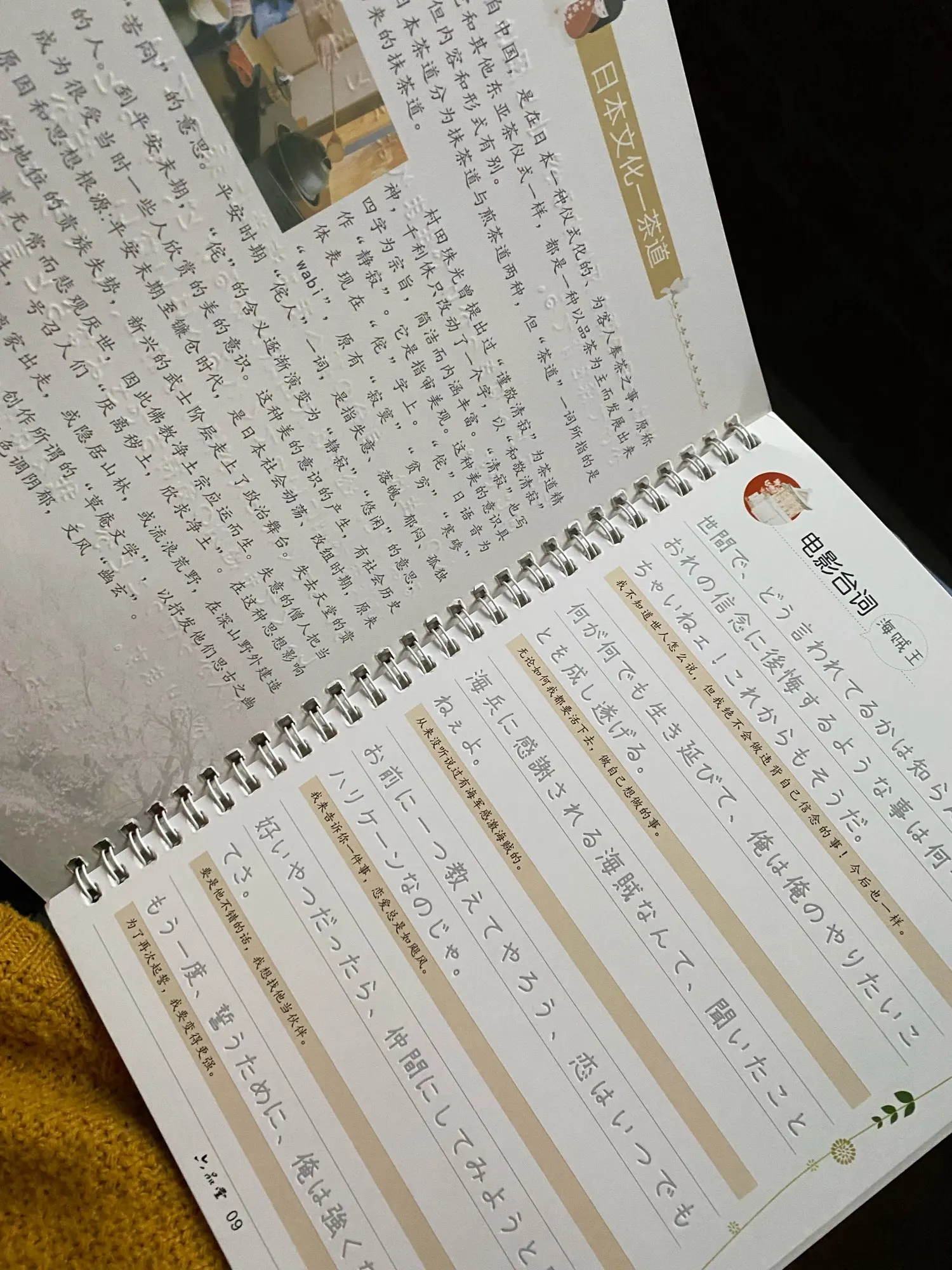 Japanese Auto Dry Repeat Practice CopyBook Liu Pin Tang 3D Groove