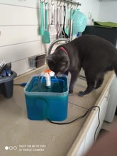 Fuente de agua para gato, alimentador automático de agua para mascotas, tazón dispensador de bebidas para perros, contenedor con pantalla de nivel LED