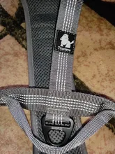 Pet-Harness Truelove Walk Padded Seat-Belt Handle Reflective-Dog Adjustable Small Soft