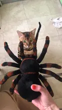Control remoto para mascotas, simulación electrónica de tarantula, ojos brillantes, araña negra inteligente, 4 canales, broma, terrorífico, juguete para regalo