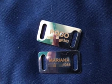 Pawstrip-etiqueta de Mascota de acero inoxidable, etiqueta personalizada para perro, nombre, teléfono, Collar, placa con nombre, identificación del perro de Mascota, para perros