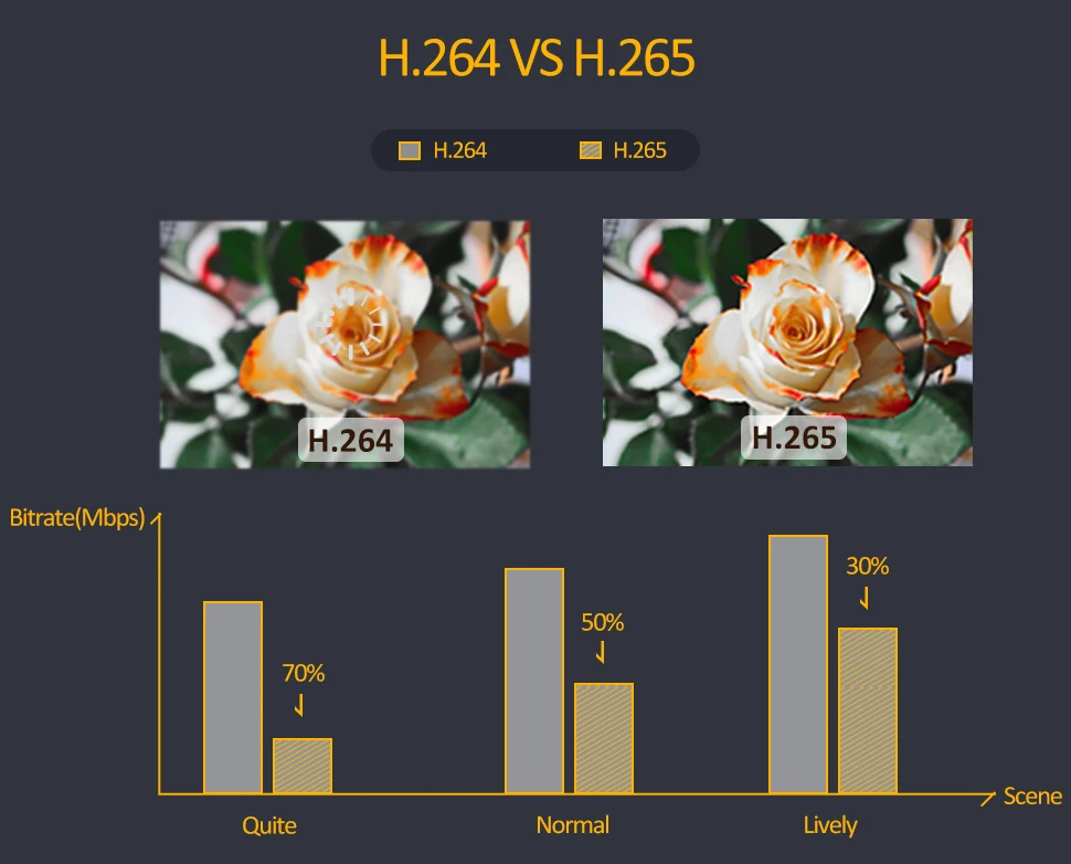 h265