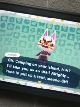 Tarjeta Animal Crossing, 264, 255, 333, 296