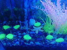 Ornament Decoration-Accessories Aquarium-Decoration Treasure-Box Landscape Sea-Bottom