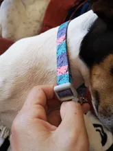 Dog-Collar Engraved Puppy-Name Floral Pet Personalized Airuidog Free Small Large Medium