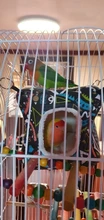 Mini Cage Hammock Bed-House Hamster Rat/hedgehog Nest Hanging-Bird Small Warm Winter
