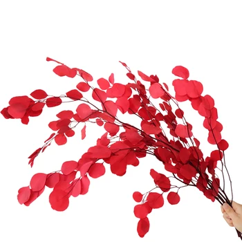 

Preserved Flower Arrangement Colorful Eucalyptus leaf For wedding Decoration