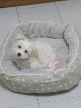 Cama para perros grandes y gatos, productos para mascotas, esterilla, banco, sofá, suministros, accesorios, para casa, cachorros, py0103