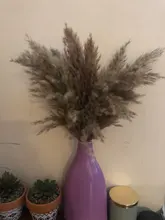 Pampas-Grass Reed Flower Wedding-Decoration Bunch Light-Color Natural Dried Christmas
