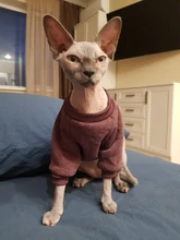 Suéteres de Gato caliente, ropa clásica de moda, ropa para perro y gato para gatos pequeños, traje de Chihuahua, abrigo de disfraz de gato de invierno