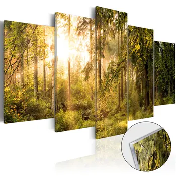 

Acrylic paintings on Glass-Magic of Forest [Glass] - 200x100 cm