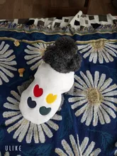 Costume Puppy-Clothes Love-Rainbow-Vest PETCIRCLE Pet-Cat Dog Winter New Fit And Four-Color