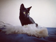 Difícil pegamento de resina UV de cristal claro de curado ultravioleta de la resina de Epoxy pegamento UV Solar cura luz del sol activado Fabricación de la joyería DIY herramientas