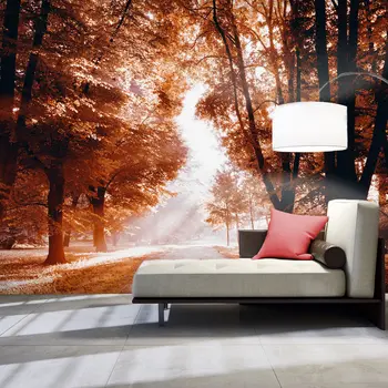 

Wall mural-Autumn Park - 400x280 cm
