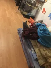 Kit completo de máquinas de tatuaje, pistola de tinta negra, fuente de alimentación, agarres, herramientas de arte corporal, conjunto de tatuaje, maquillaje permanente