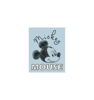 

CANVAS 20X25 CM DISNEY MICKEY MOUSE