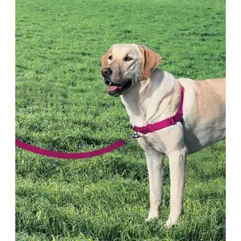 

Harness EASY WALK L-Raspberry-dog