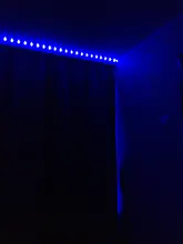 Led Ribbon Led-Strip-Lights Flexible Tape Phone-Bluetooth-App 5050 Waterproof RGB DC