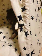 Tienda de campaña portátil para mascotas, casa para animales domésticos con cojín grueso, disponible en 6 colores, para cachorros, perros, gatos, de interior y exterior, ideal para ir de excursión