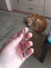 Pinzas de acero inoxidable para depilación de cejas, Punta Negra inclinada rosa, herramienta de maquillaje de belleza plateada inofensivo