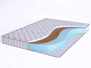 

Elastic forma CF14 180x190