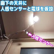 Interruptor inteligente con Sensor de movimiento infrarrojo, Interruptor del Detector de 110V, 220V, LED, automático