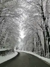 Bolsa seca impermeable para natación, Rafting, Kayak, río, Trekking, navegación, canoa, resistente al agua