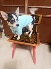 Coat Outfit Pets-Clothing Small Dogs Warm Chihuahua Winter Yorkshire Puppy Schnauzer