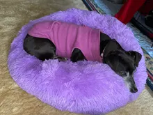 Perrera larga de felpa supersuave para mascotas, saco de dormir redondo, tumbona para casa de gatos, cesta de sofá cálido de invierno para perros pequeños, medianos y grandes