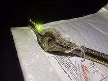 MISSFOX-reloj pequeño de 30mm para mujer, resistente al agua, de lujo, Ar, pulseras de Metal con diamantes de imitación Bu, relojes Chinos Baratos