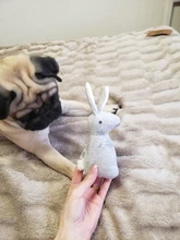 2019 New Pet Squeaky Funny Dogs Animal Shape Toys Gift Set Large Rabbit Honking for Dogs