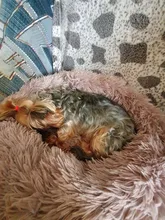 Cama de perro caliente de lana ronda perro perrera casa larga felpa invierno mascotas camas para perros medianos grandes perros gatos cojín del sofá suave esteras