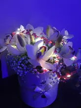 Tiny leaf garland fairy light decor LED Copper Wire string lights for Wedding forest